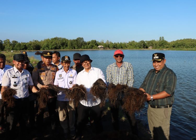 Pj Gubernur Kaltim Tinjau Budidaya Rumput Laut di PPU dan Paser