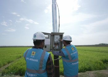 Electrifying Agriculture: PLN Cetak 53.539 Pelanggan Baru untuk Pertanian Modern