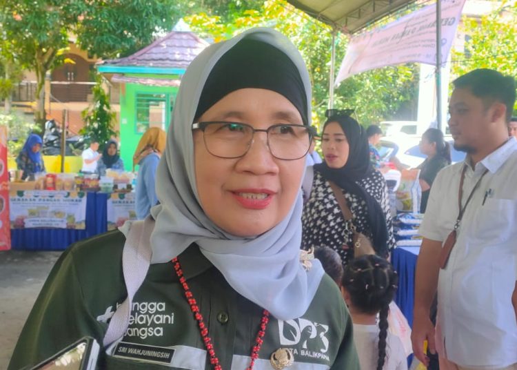 Cegah Rabies, DKP3 Balikpapan Sterilkan 135 Kucing Liar