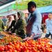 Subari Pastikan Stok Aman dan Kendalikan Harga Jelang Ramadan