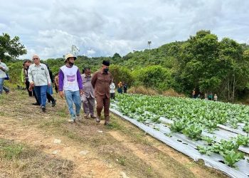 Petani Milenial Digital, Bertani dengan Aplikasi dan IoT
