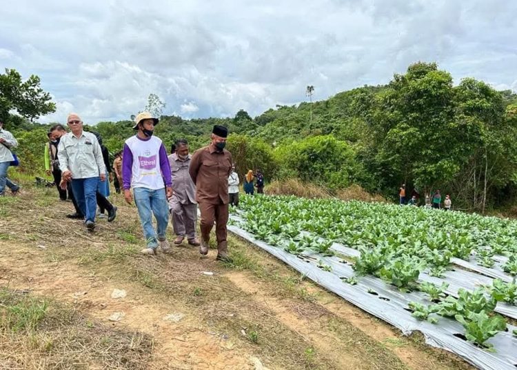 Petani Milenial Digital, Bertani dengan Aplikasi dan IoT