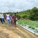 Petani Milenial Digital, Bertani dengan Aplikasi dan IoT