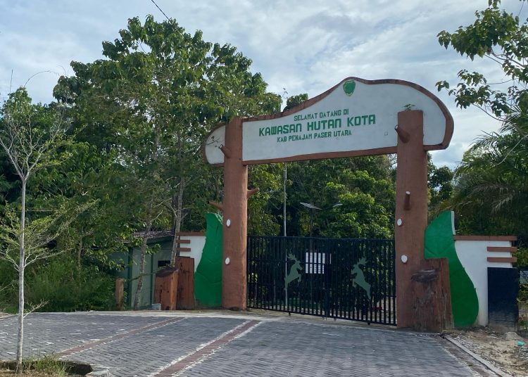 Hutan Kota PPU Dipulihkan, DLH PPU Fokus pada Ekosistem Kerangas