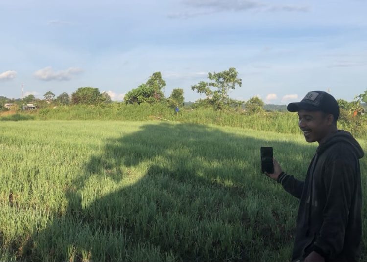 Lahan Kritis Akibat Tambang, Petani Embalut Andalkan Inovasi Pertanian