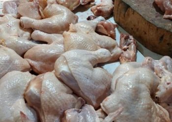 Akibat Panic Buying, Harga Ayam di Kukar Meroket