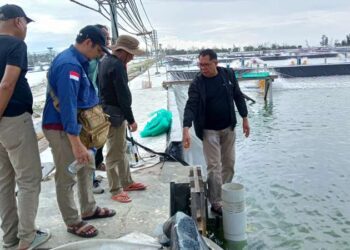 Proyek Hatchery Besar DKP Kukar Akan Suplai Benur untuk IKN