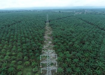 PLN Libatkan Kartini-kartini Muda Percepat Proyek Listrik Kaltim