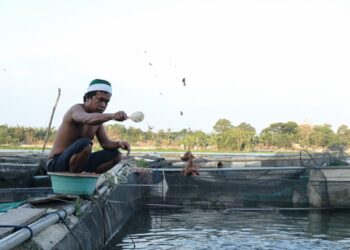 Banjir Lumpuhkan Tambak Ikan Ponoragan, Warga Minta Pemerintah Turun Tangan