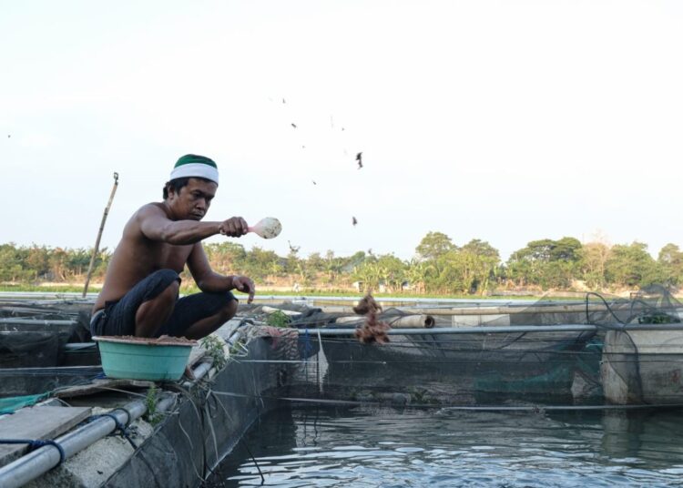 Banjir Lumpuhkan Tambak Ikan Ponoragan, Warga Minta Pemerintah Turun Tangan