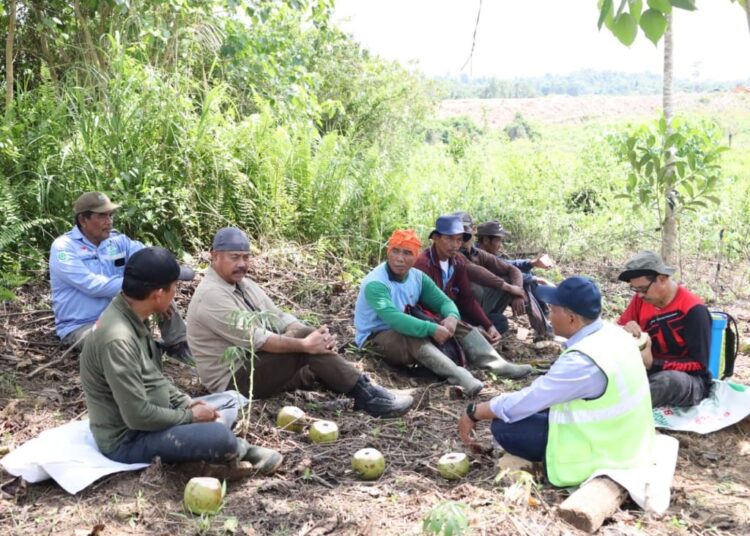 Petani Desa Mulawarman Buktikan Sawah Bisa Berdampingan dengan Tambang