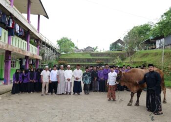 Dua Sapi Kurban untuk Pesantren, Bupati Kukar Tebar Kepedulian di Iduladha