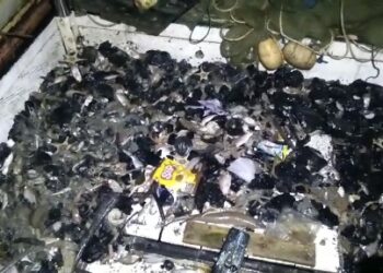 Nelayan Balikpapan Teriak ! Laut Tercemar Batu Bara, Ikan Menyusut