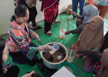 Electrifying Marine: PLN Angkat Rumput Laut Jadi Produk Unggulan