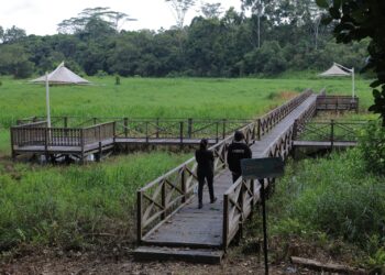 Ratih Kusuma: Kami Ingin Kebun Raya Jadi Ruang Edukasi dan Rekreasi untuk Semua Kalangan