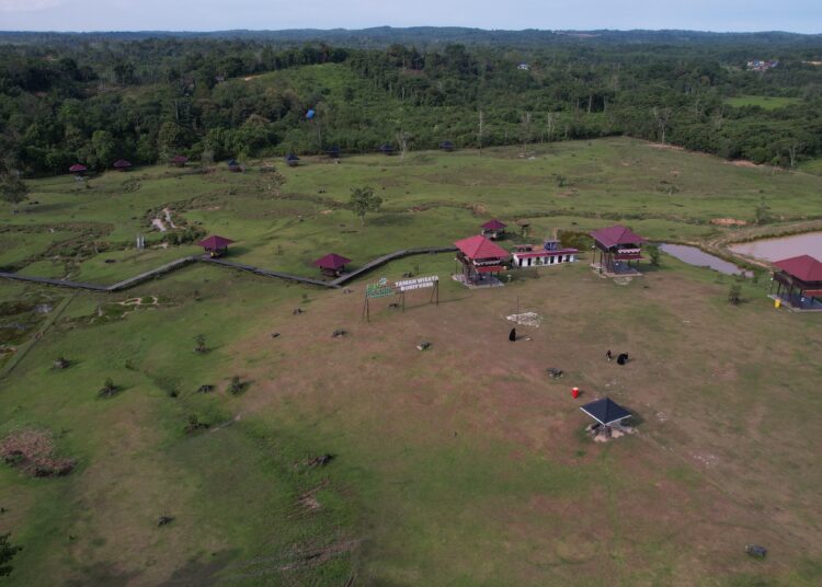 Disporapar Kembangkan Bukit Kebo Jadi Destinasi Glamping dan Eduwisata