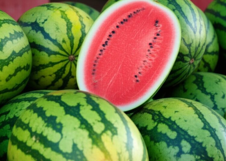 Harga Stabil, Balikpapan Inflasi Tipis 0,03 Persen 