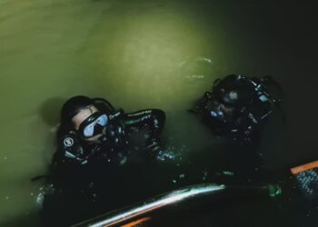 Tergelincir Saat Muat Kayu, Pekerja PT Kalamur Tenggelam di Sungai Mahakam