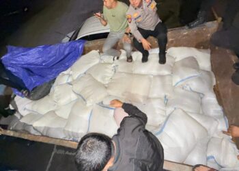 9,8 Ton Cap Tikus Gagal Beredar di Samarinda 