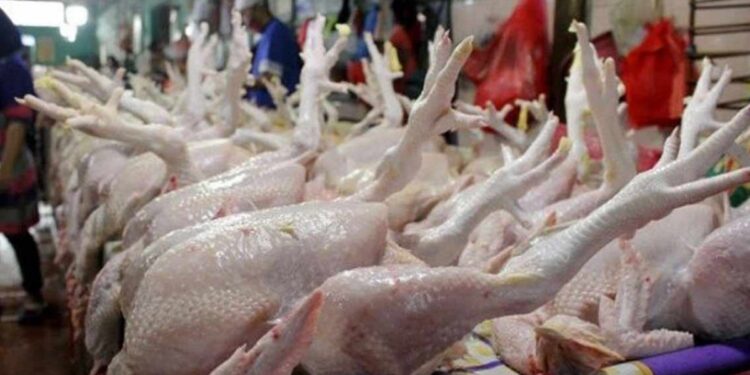 Ramadan–Lebaran Dorong Inflasi ! Balikpapan Melandai, PPU Naik hingga 1,09 Persen