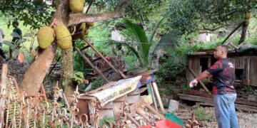 Baru Sepekan di Balikpapan, Pria Asal Flores Ditemukan Tewas Gantung Diri