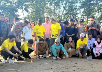 80 Tukik Dilepas di Pantai DEB, Wali Kota Apresiasi JMSI Balikpapan
