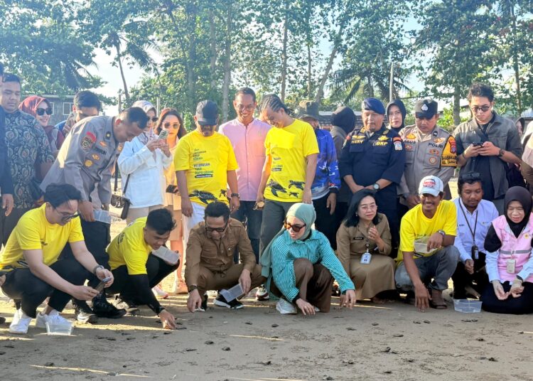 80 Tukik Dilepas di Pantai DEB, Wali Kota Apresiasi JMSI Balikpapan