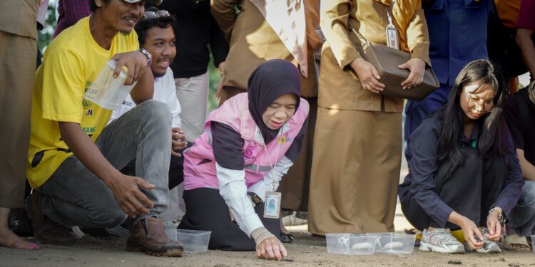 Dukung Kelestarian Ekosistem Pesisir, PLN UID Kaltimra Bersama JMSI dan Forkopimda Balikpapan Lepas 80 Tukik Penyu Lekang