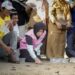 Dukung Kelestarian Ekosistem Pesisir, PLN UID Kaltimra Bersama JMSI dan Forkopimda Balikpapan Lepas 80 Tukik Penyu Lekang