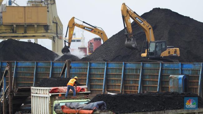 SPK TKBM di KSOP Satui Disorot, Pengusaha Pertanyakan Dasar Hukum Biaya Rp300 per Ton